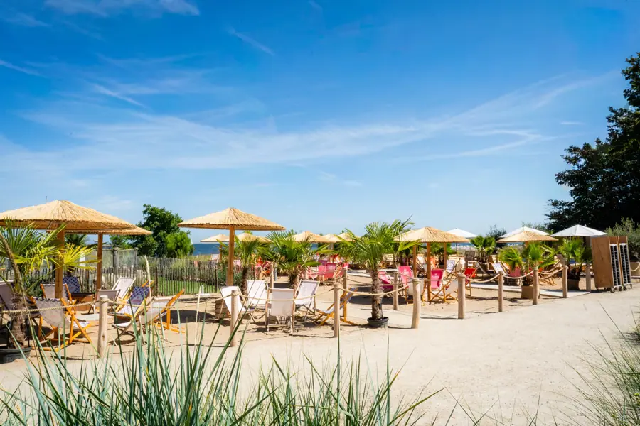 VIEW Beach mit Strohschirmen, Palmen und der Ostsee unter blauem Himmel